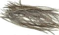 Pióra do włosów Premium15-23 cm Grizzly Natural