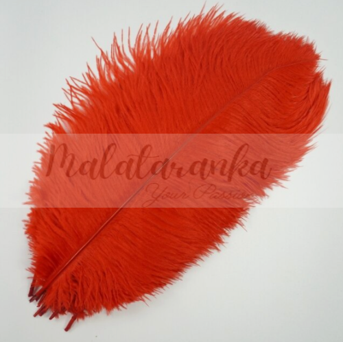 Strusie pióro długość 35-40 cm CZERWONE 1szt