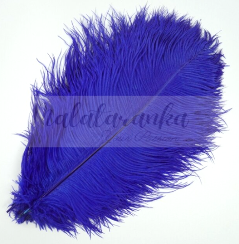 Strusie pióro długość 35-40 cm CHABROWE