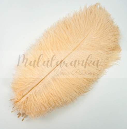 Strusie pióro długość 35-40 cm SZAMPAŃSKI