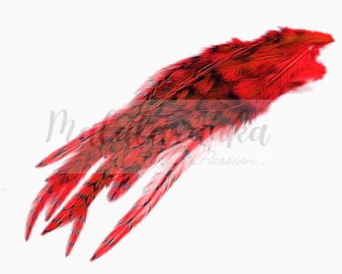 Pióra Genetyczne Grizzly 8-18cm DYED RED