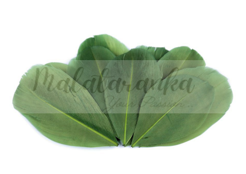 Czubki gęsich piór 5-7 cm ZIELONE