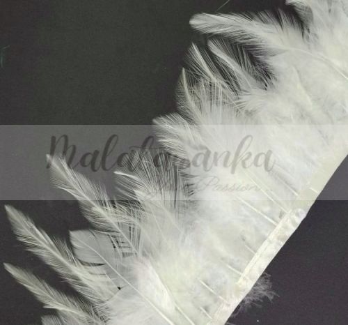 Pióra na taśmie kogut KREMOWE 1m taśma z piór