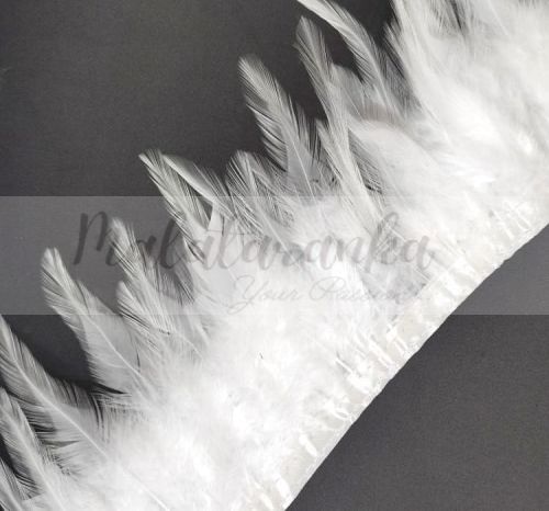 Pióra na taśmie kogut BIAŁE 1m taśma z piór