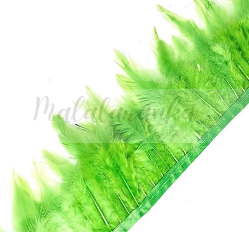Pióra na taśmie kogut ZIELONE APPLE 1m taśma z piór