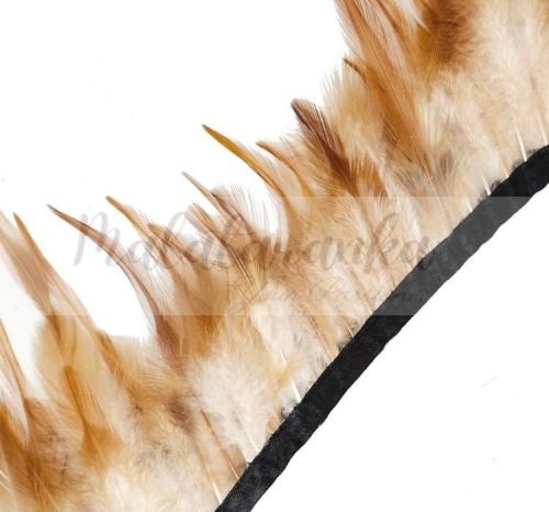 Pióra na taśmie kogut GINGER 1m taśma z piór