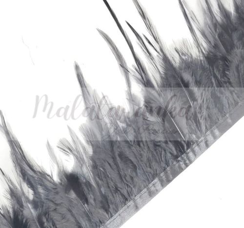 Pióra na taśmie kogut SZARE 1m taśma z piór