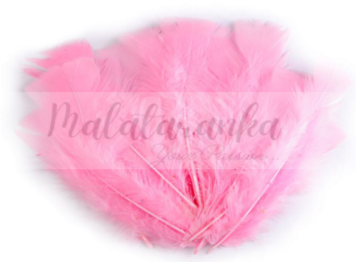 Indycze pióra Długie 11-17 cm PINK BABY