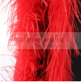 czerwone.png