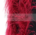 bordowe.png