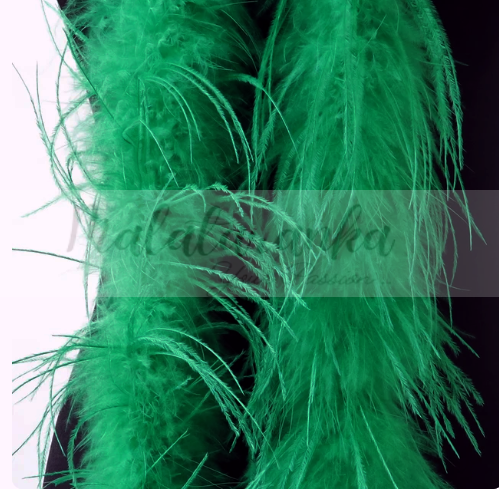zielone.png