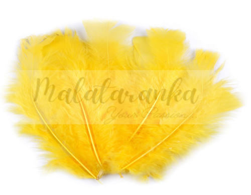 Indycze pióra Długie 11-17 cm CIEMNO ŻÓŁTE