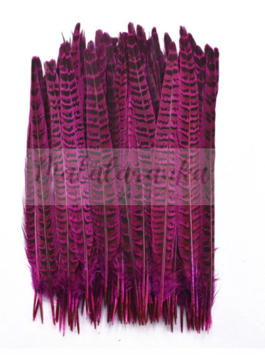 Bażant ogon lotka 25-30 cm AMARANT