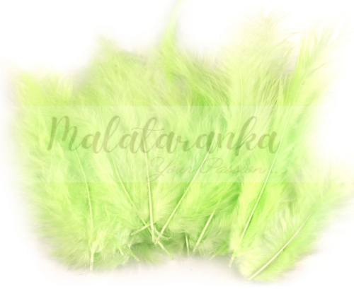 Pióra strusia puchowe 10-18 cm ZIELEŃ PASTELOWA