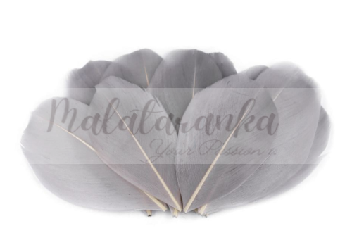 Czubki gęsich piór 5-7 cm NIEBIESKOSZARE