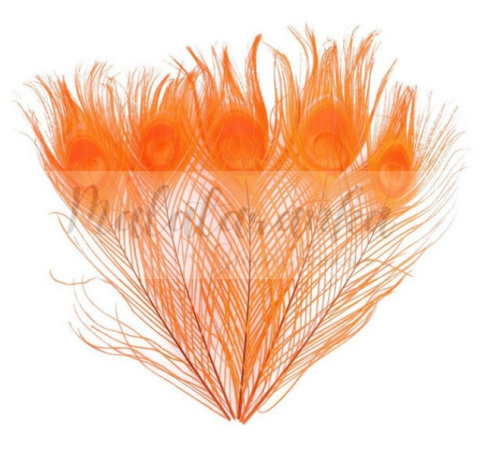 Pawie pióro 25-30 cm POMARAŃCZOWE