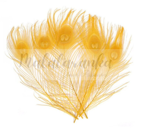 Pawie pióro 25-30 cm ŻÓŁTE