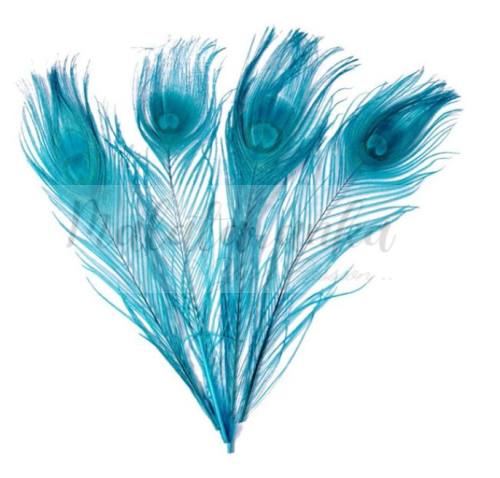 Pawie pióro 25-30 cm TURKUSOWE