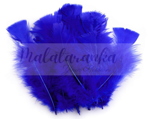 Indycze pióra Długie 11-17 cm CHABROWE