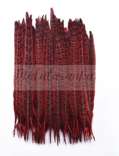Bażant ogon lotka 25-30 cm WINE