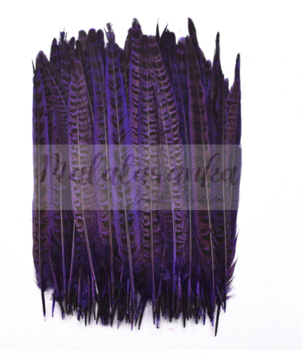 Bażant ogon lotka 25-30 cm FIOLETOWE