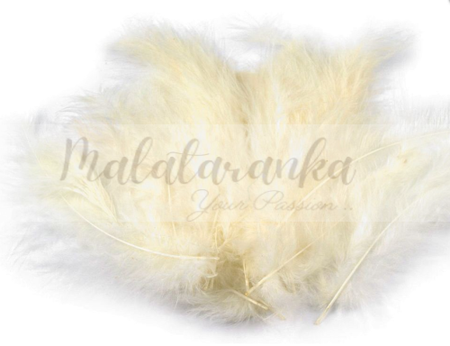 Pióra strusia puchowe 10-18 cm WANILIOWE