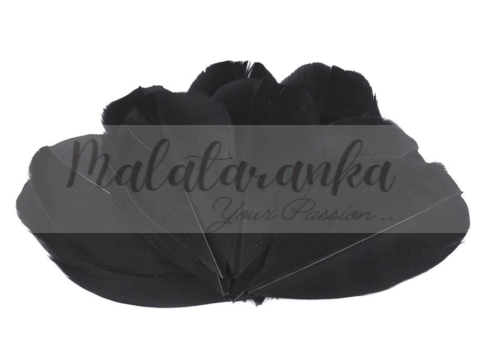 Czubki gęsich piór 5-7 cm CZARNE