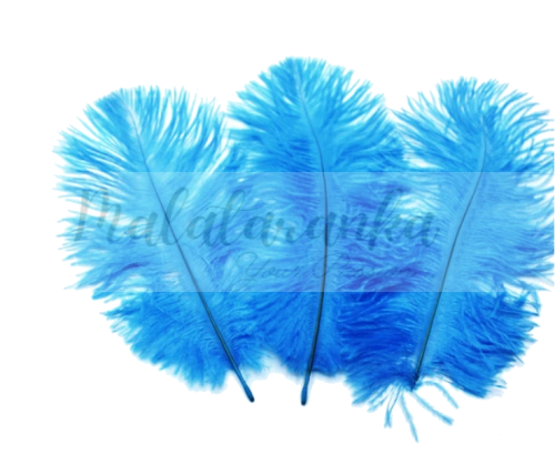 Strusie pióra 15-18 cm TURKUSOWE
