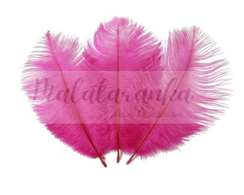 Strusie pióra 12-15 cm FUKSJA