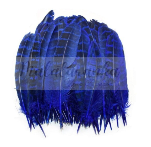 Bażant pióra lotki 10-15 cm GRANATOWE