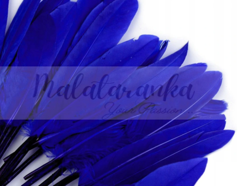 Pióra lotki kacze 9-14 cm CHABROWE