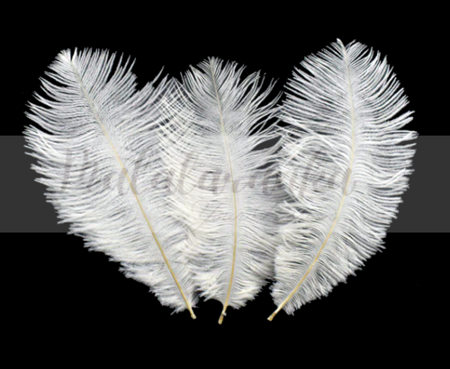 Strusie pióra 12-15 cm BIAŁE