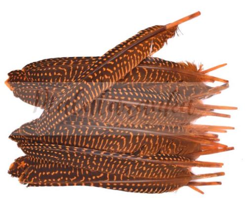 Perliczka Perlica pióra lotka 15-20 cm POMARAŃCZOWE