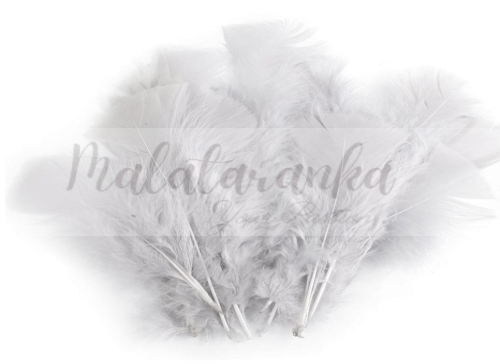 Indycze pióra Długie 11-17 cm MYSIE