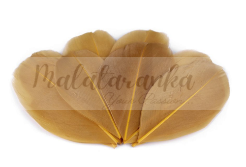 Czubki gęsich piór 5-7 cm MUSZTARDOWE