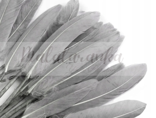 Pióra lotki kacze 9-14 cm SZARE