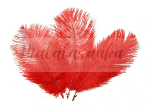 Strusie pióra 12-15 cm CZERWONY